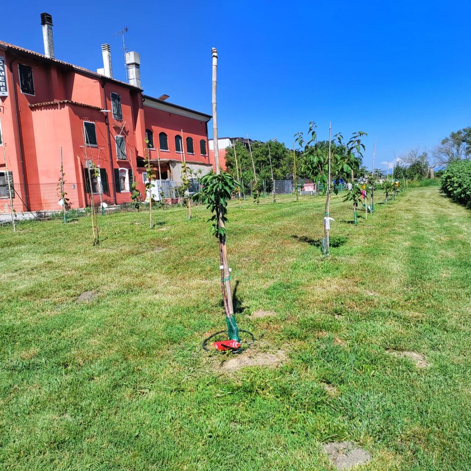 Maison d'hôtes Quadrifoglio Relax à San Donà di Piave Extérieur photo