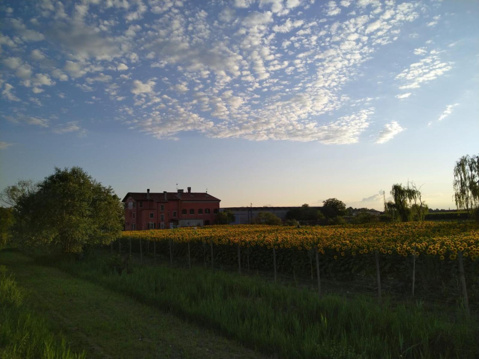 Maison d'hôtes Quadrifoglio Relax à San Donà di Piave Extérieur photo