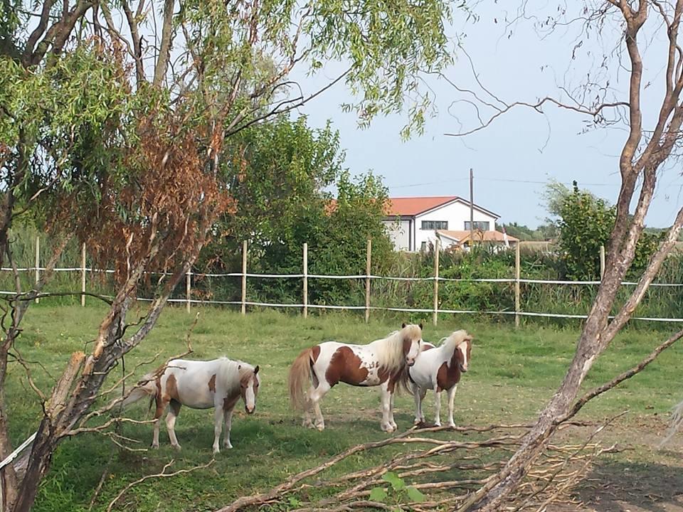 Maison d'hôtes Quadrifoglio Relax à San Donà di Piave Extérieur photo